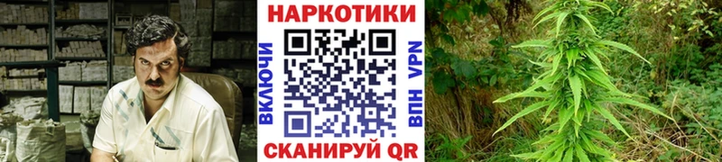 Сколько стоит Топки Cocaine Галлюциногенные грибы АМФЕТАМИН МЕФ Каннабис Альфа ПВП