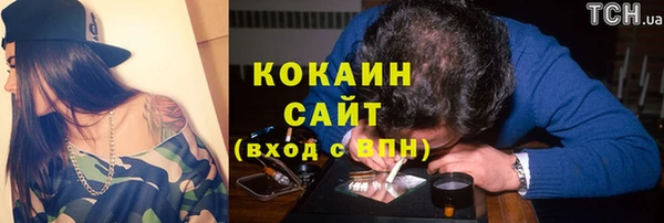 гашик Алзамай