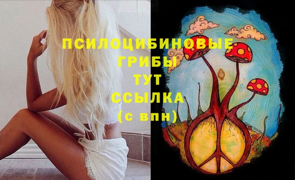 гашик Алзамай