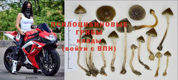 крисы Алексеевка