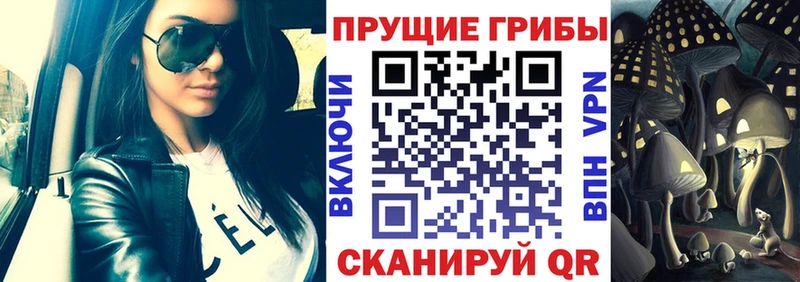 Псилоцибиновые грибы Magic Shrooms  hydra зеркало  Топки  закладки 