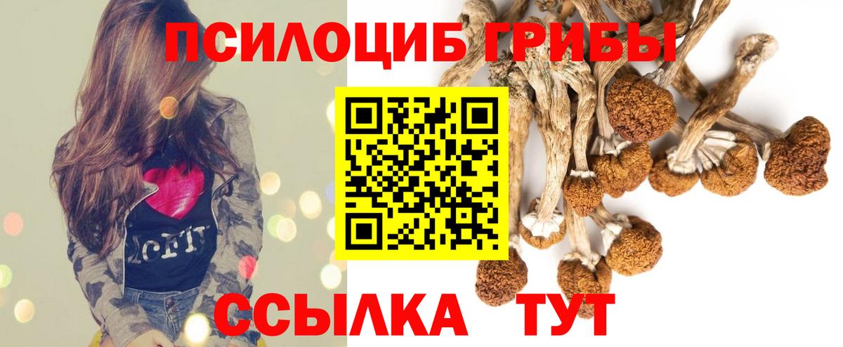 Топки  Галлюциногенные грибы прущие грибы  наркошоп  Вход с VPN 